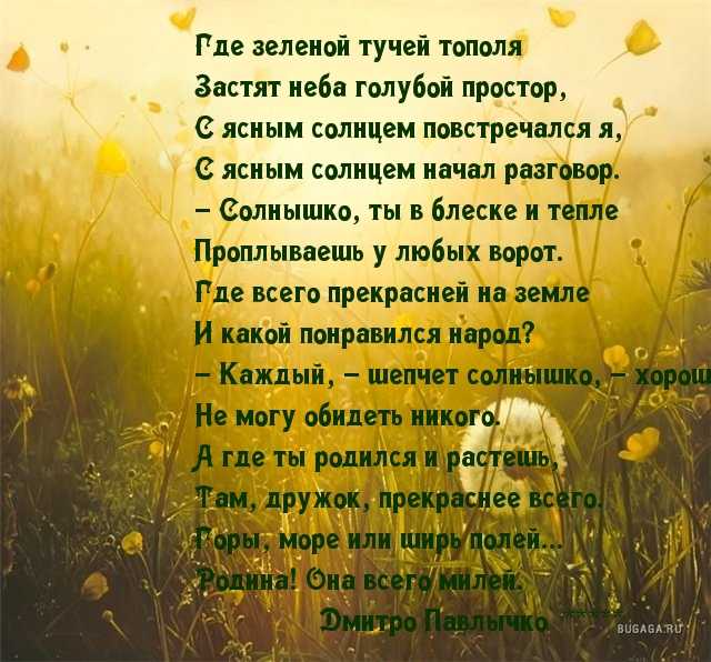 Лучшие стихи о родине - красивые и трогательные стихотворения о родине до слез - na5.club