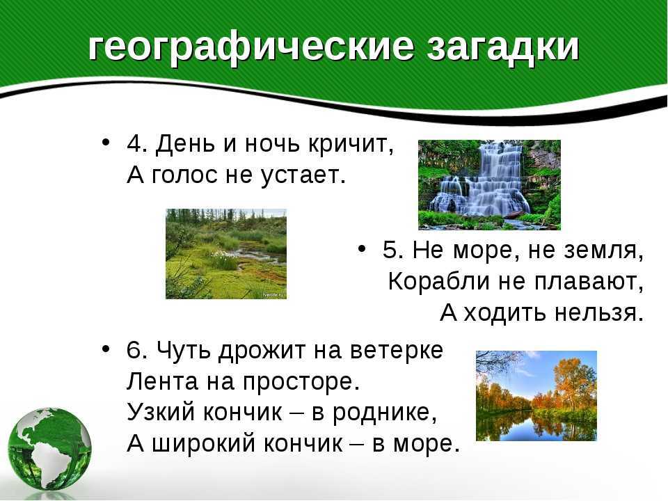 Загадки про зебру для детей