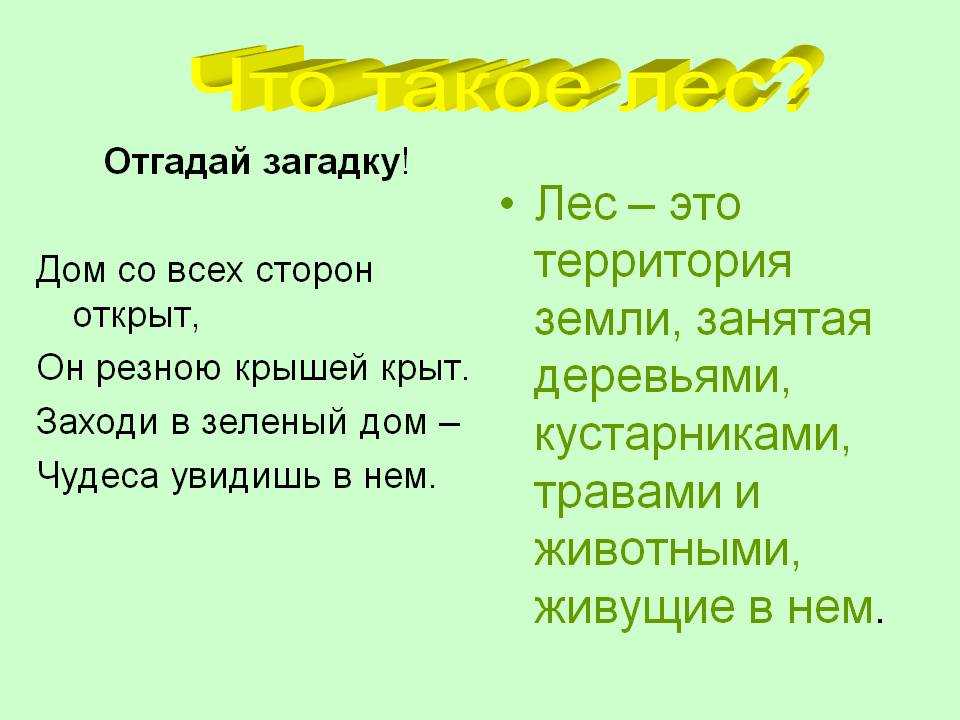 Загадки про животных: 185 смешных, легких, простых и сложных загадок для детей 4, 5, 6 лет и школьников 1, 2, 3-5 класса / mama66.ru