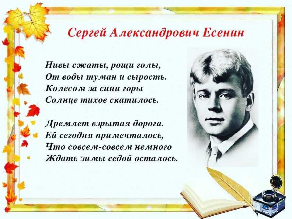 На природу не смотрят, ею любуются… стихи есенина о природе
