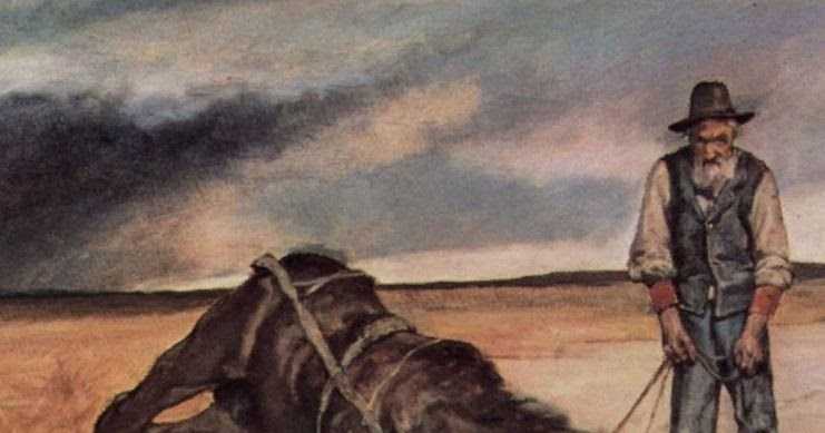 Бедный гнедко — сказка в.ф. одоевского
