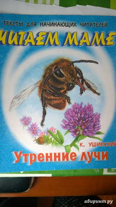Ушинский утренние лучи краткое содержание