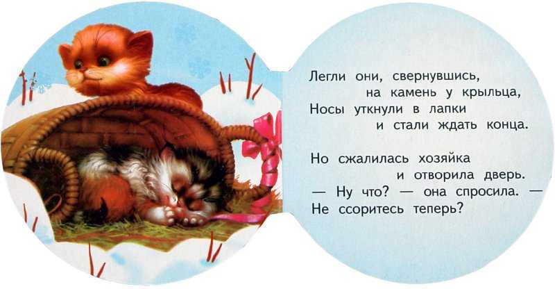 Стихи про котов и кошек для детей - стихи для детей