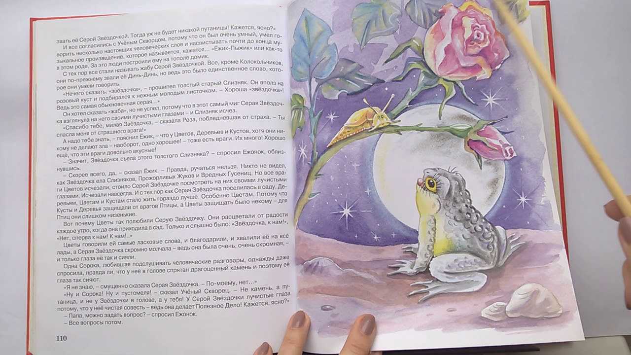 Читать «серая звездочка» онлайн