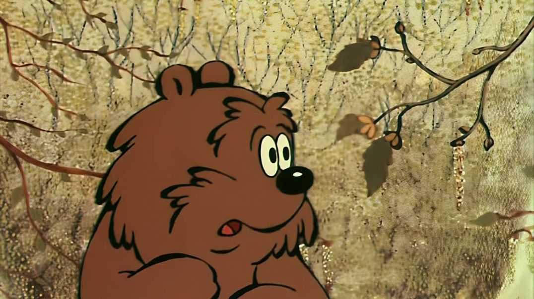 Как ежик и медвежонок звезды протирали