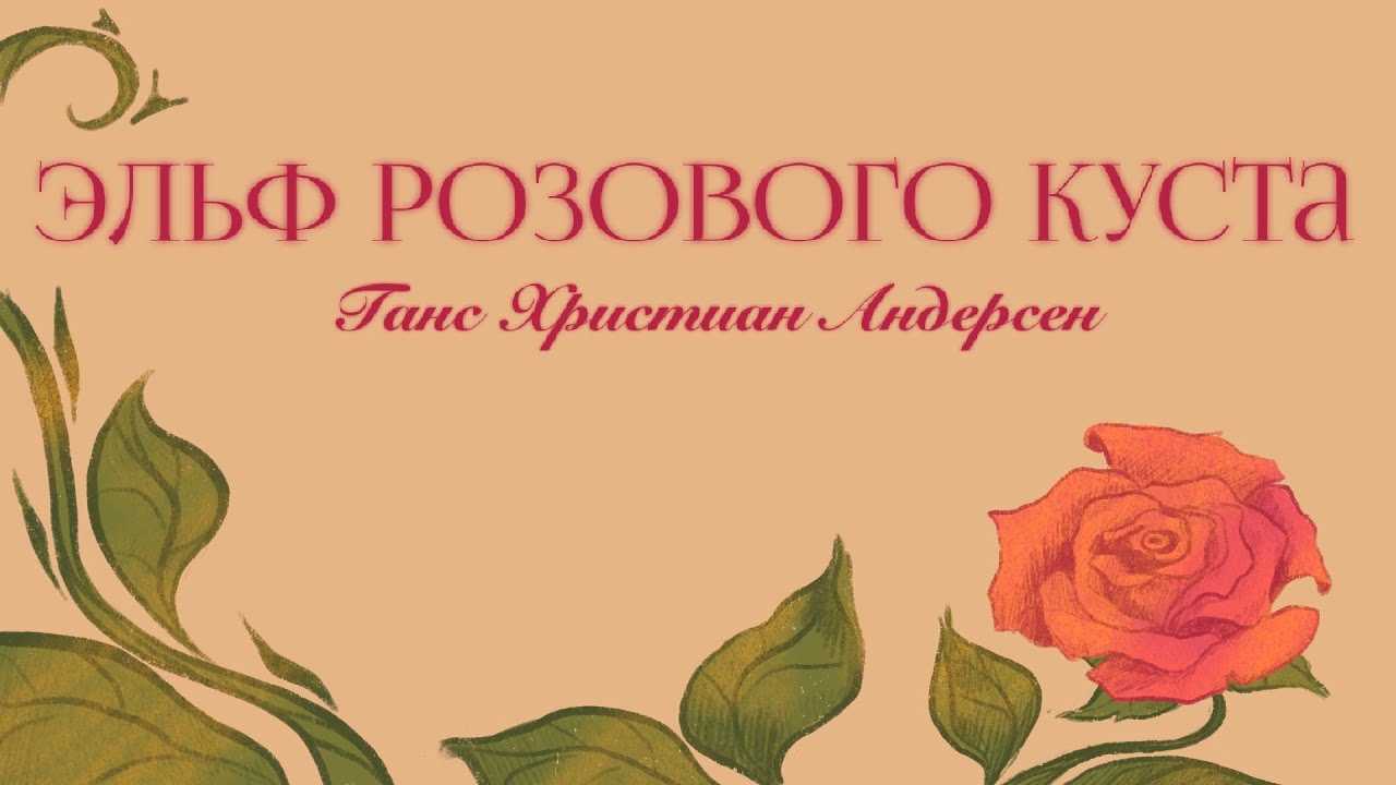 Сказка эльф розового куста. ганс христиан андерсен - я happy мама