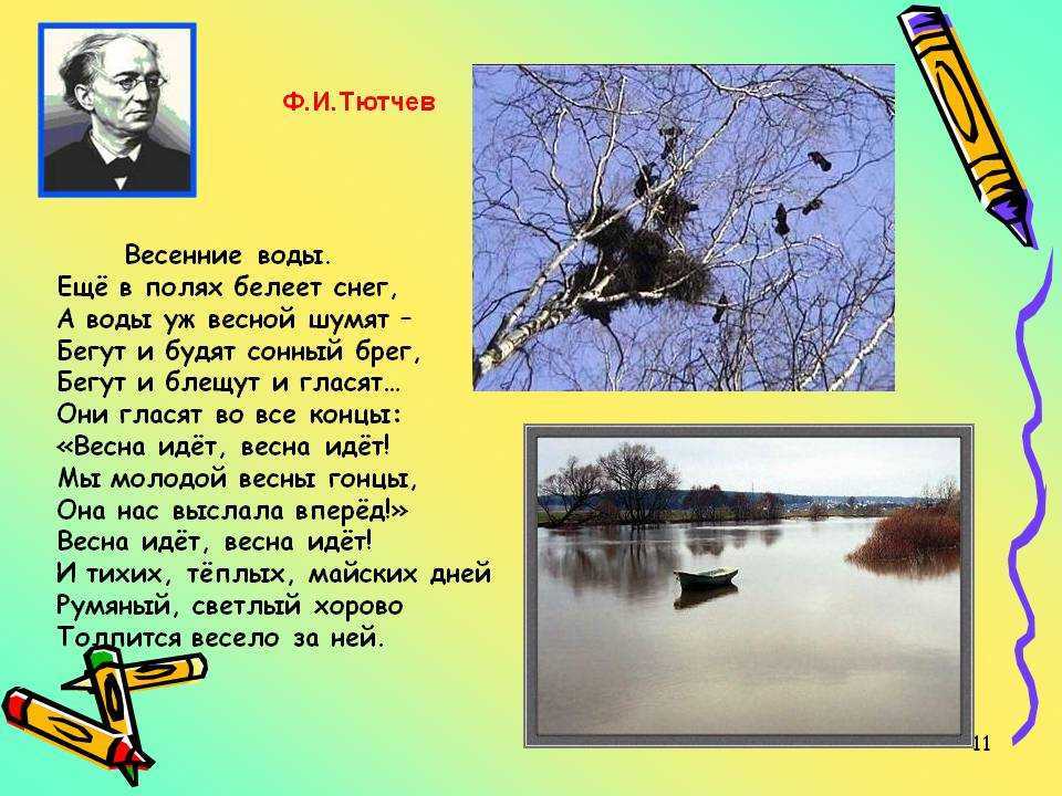 Стихи о природе для детей 4-5, 6-7 лет, для 1-2-3, 4-5 и 6 классов: короткие и легкие, на конкурс чтецов, стихи русских и современных поэтов