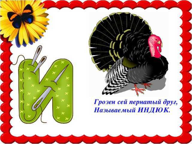 Загадки про индюка для детей