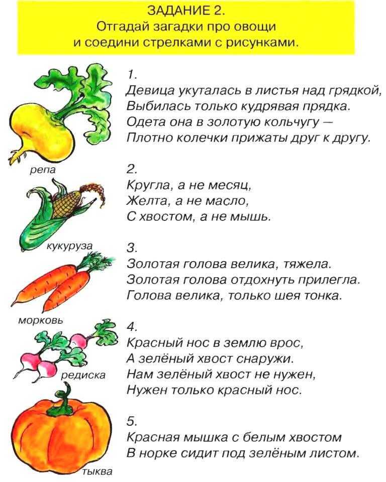 Загадки про овощи с ответами: большая подборка для детей из 150 загадок, простых и сложных / mama66.ru