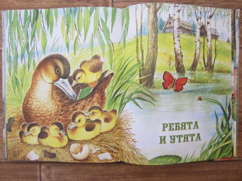 Оод по развитию речи «знакомство с произведением м. пришвина «ребята и утята»
