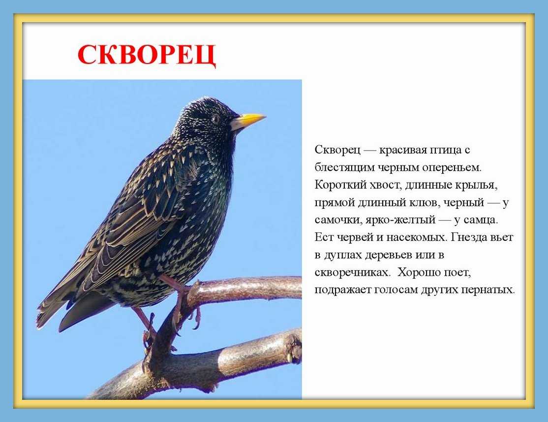 Придумать сказку про - озеро сказок
