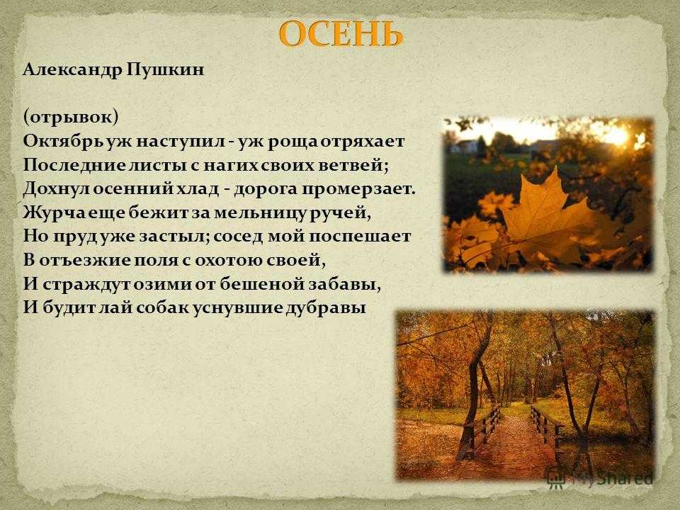 Стихи пушкина про осень - читать стихотворение, тексты и отрывки про осень, красивые, короткие и длинные