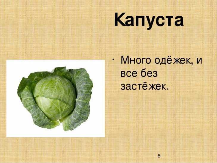100 загадок про овощи для детей и взрослых с ответами