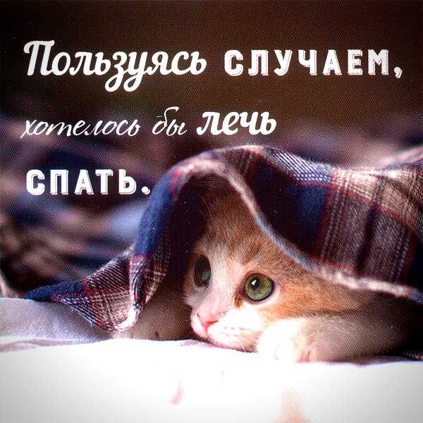 Пора спать
