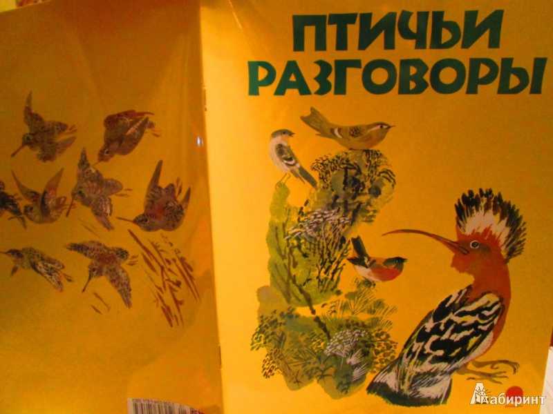 Птичьи разговоры - виталий бианки