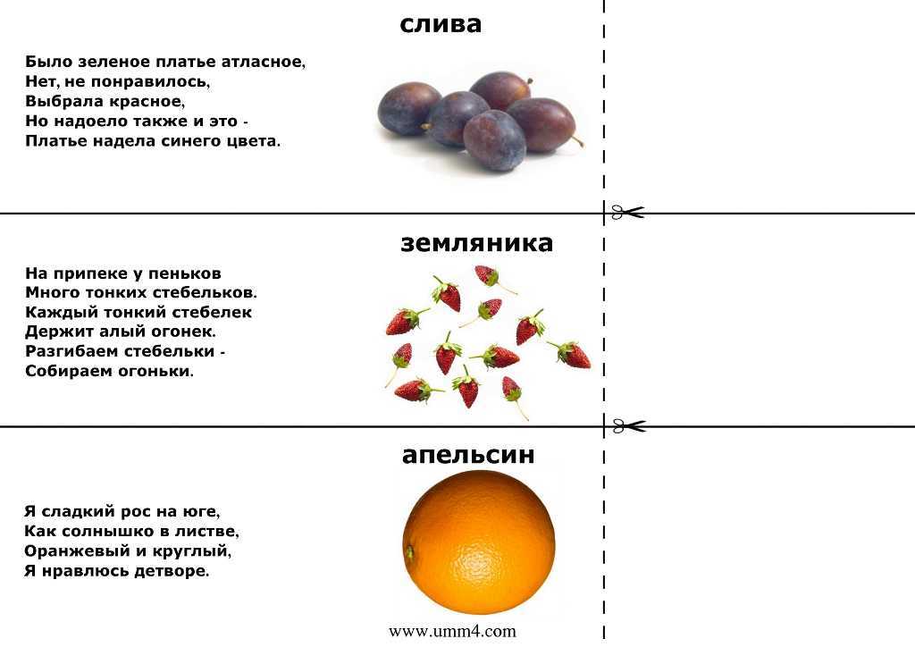 Смешные загадки с подвохом для детей и взрослых