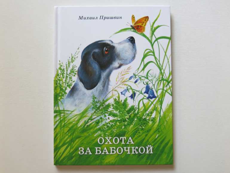 Охота за бабочкой пришвин краткое содержание