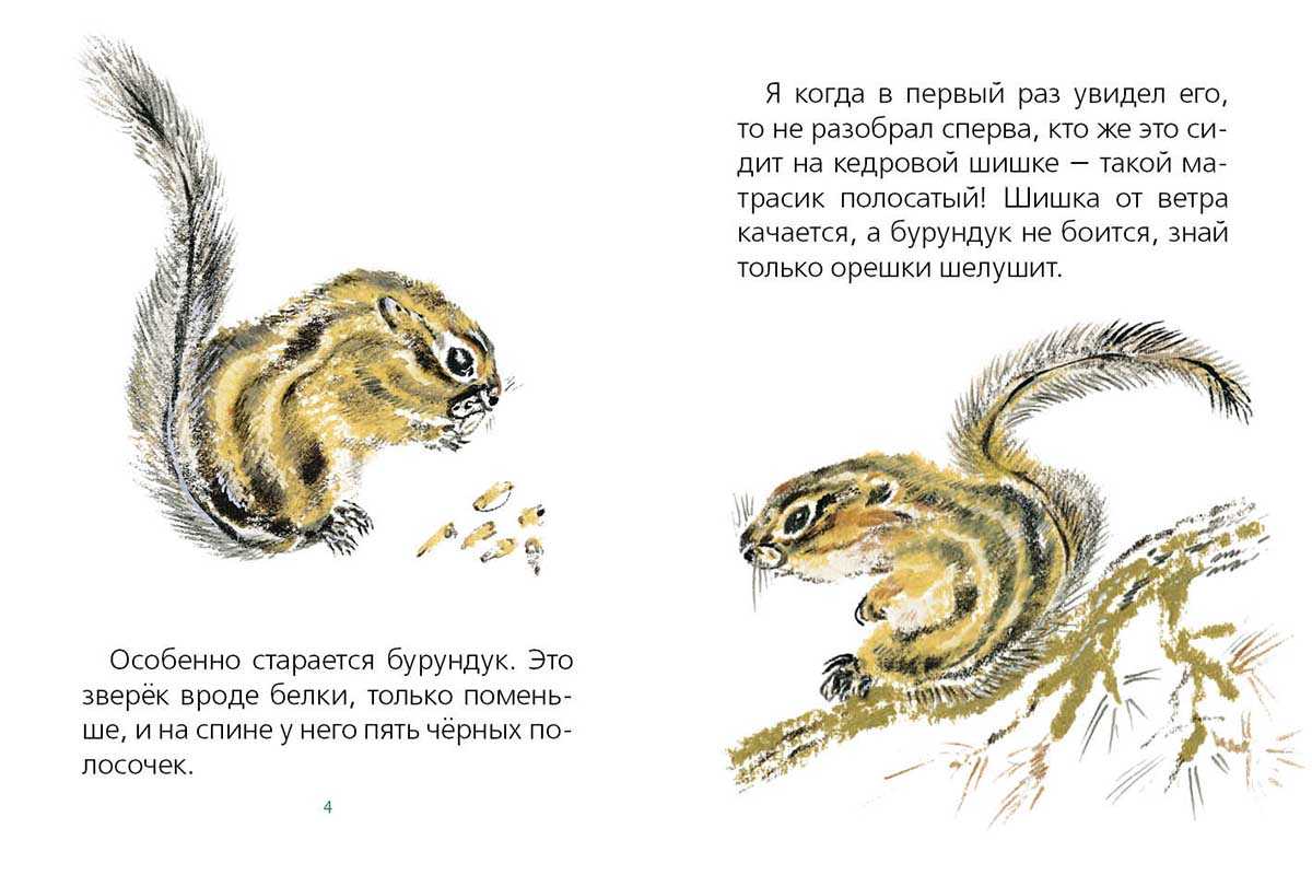 Книга хитрый бурундук читать онлайн бесплатно, автор геннадий снегирев