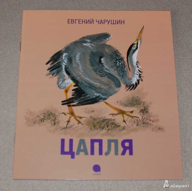 Никита и его друзья читать чарушин