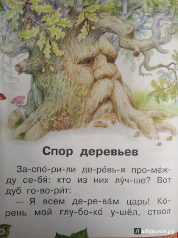 К ушинский спор деревьев краткое содержание