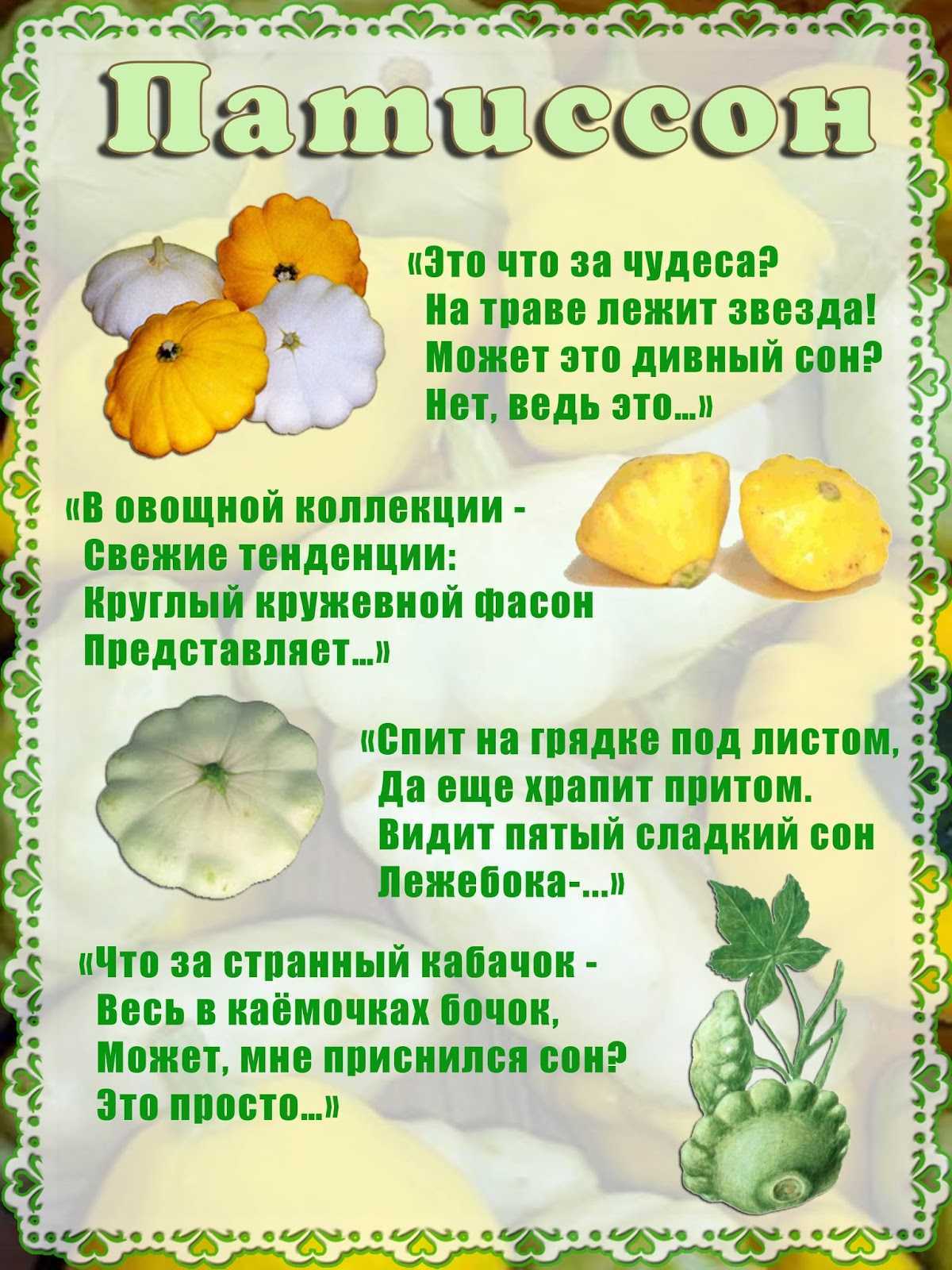 Загадки про картофель и картошку | авторская платформа pandia.ru