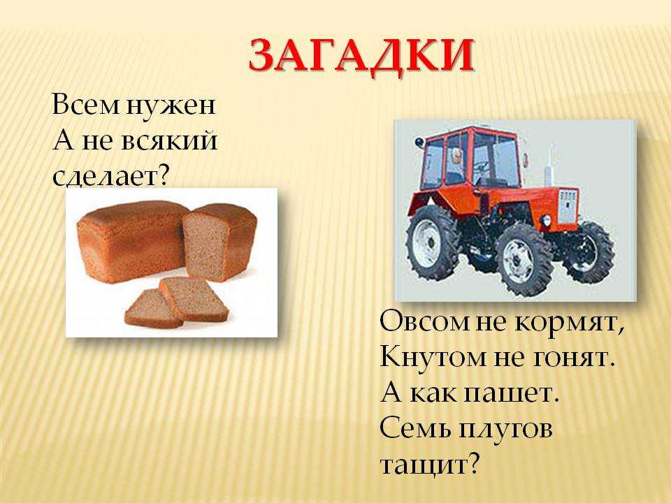 Загадки про хлеб для детей с ответами