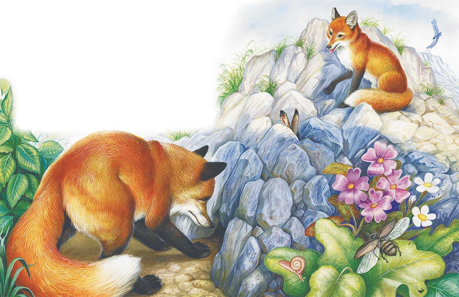 Михаил пляцковский ★ солнышко на память читать книгу онлайн бесплатно