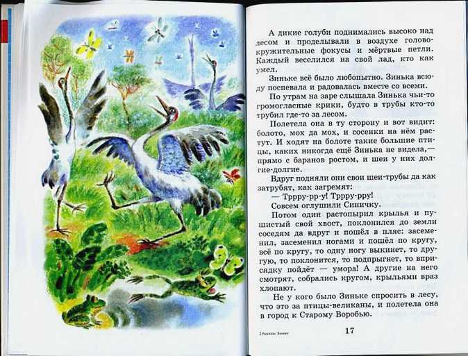 Мой хитрый сынишка: сумасшедшая птица - сказки бианки: читать с картинками, иллюстрациями - сказка dy9.ru