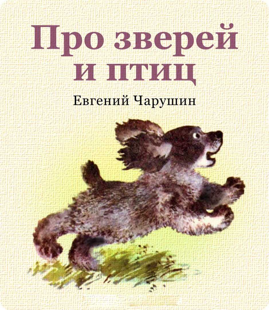 Рассказ про зайчат читать онлайн полностью, чарушин е. и. для детей