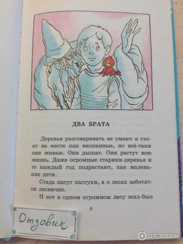 Евгений шварц - два брата