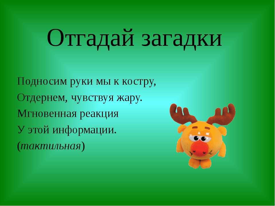 Лучшие загадки для детей 5-6 лет с ответами (можно распечатать!)