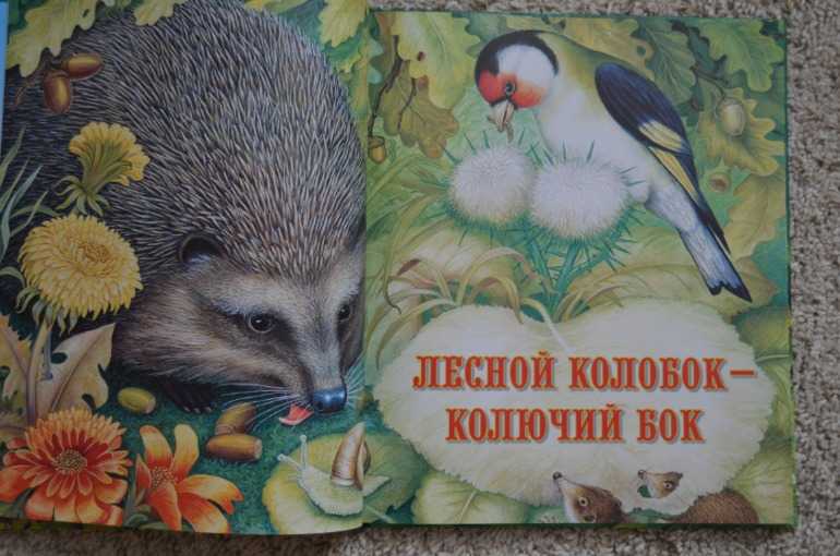 Бианки виталий сказка «лесной колобок