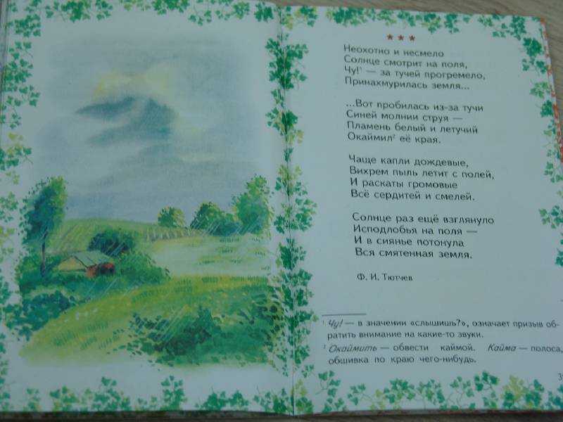 Стихи про цветы для детей современных поэтов и русских классиков