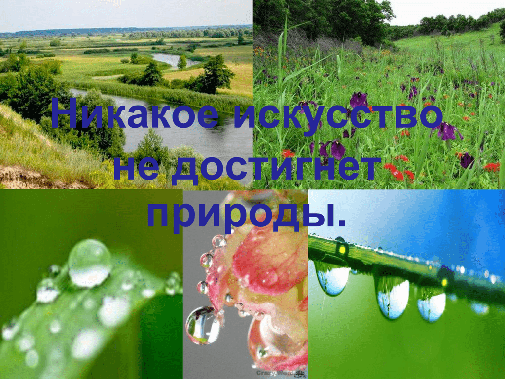 Рассказы для детей - л.н.толстой. читать