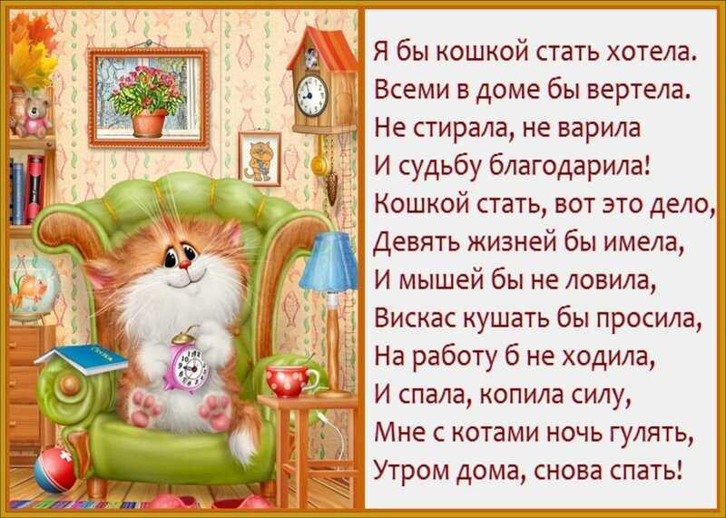 Стихи про котов и кошек для детей - стихи для детей