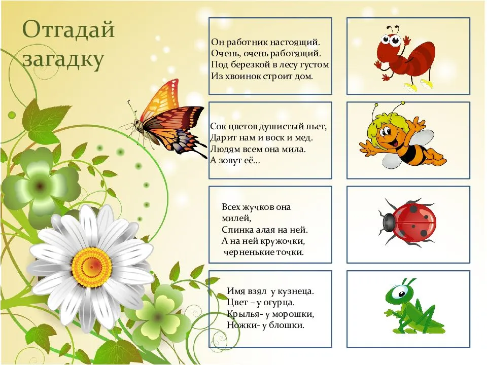 Загадки про насекомых для детей 6-7 лет с ответами - детский час