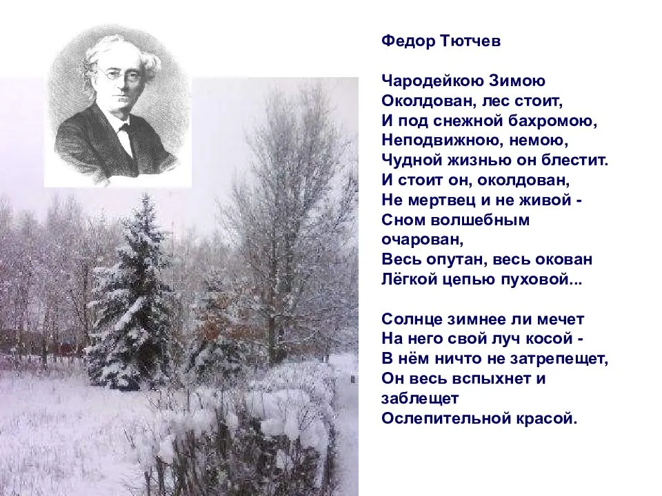 И льется музыка цветов… пусть подарят настроение стихи о цветах