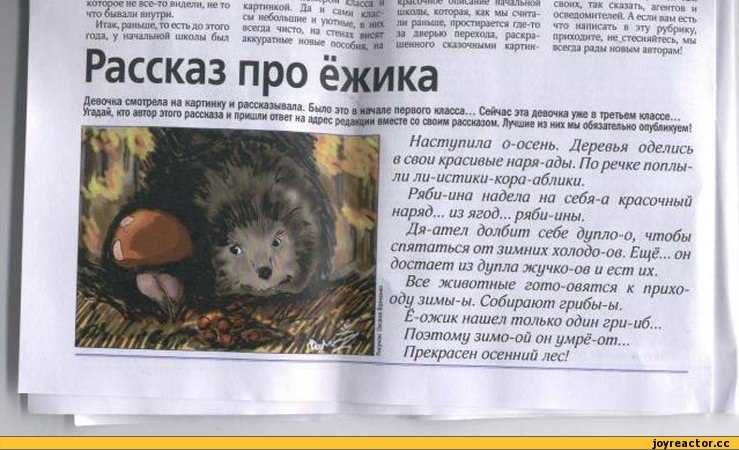 Загадки про ежика в стихотворной форме. загадки про ежадля детей и взрослых загадки про ежа очень сложные