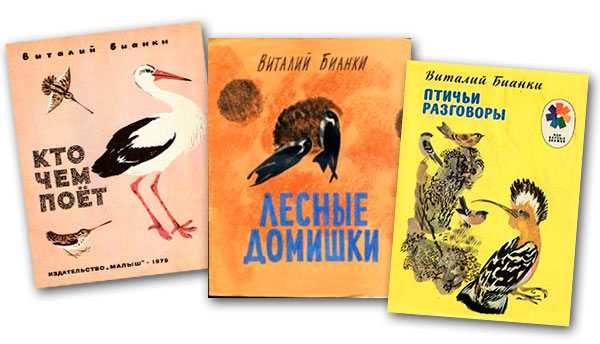 Читать 👀 онлайн 📲 собрание сочинений. том 1. рассказы и сказки | почему чайки белые без регистрации
