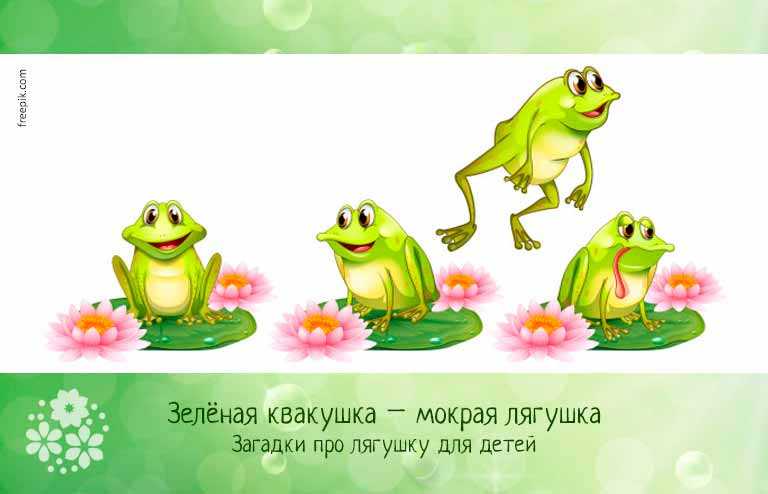 Лучшие загадки для детей 5-6 лет с ответами (можно распечатать!)