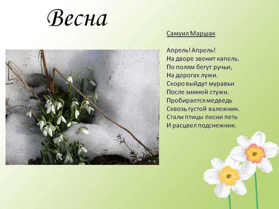 Стихотворения пушкина о весне — от земли до неба
