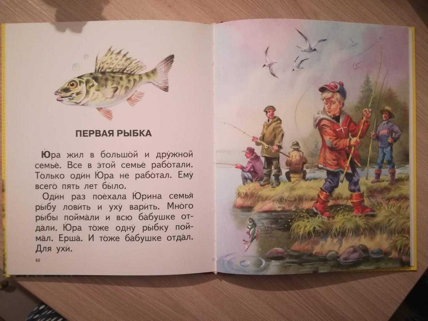 Web ирбис