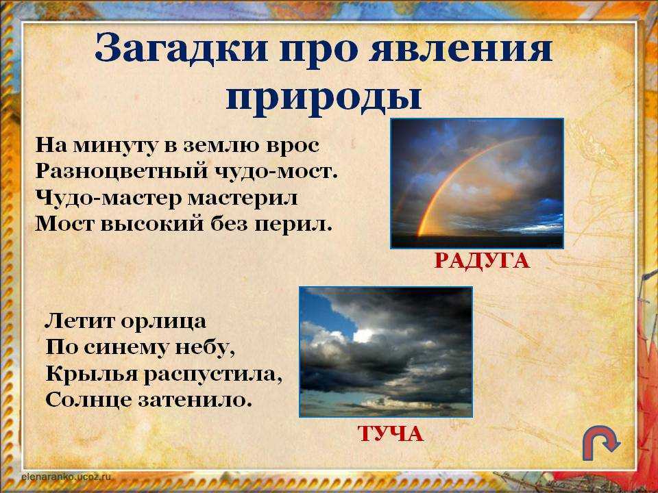 Десткие загадки про лето - 50 отличных загадок для детей о лете
загадки на тему лето для детей — 50 загадок — детский развивающий сайт "xkid"