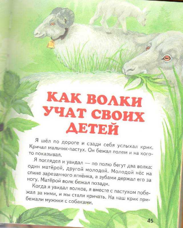 Рассказы толстого для детей 1 класса