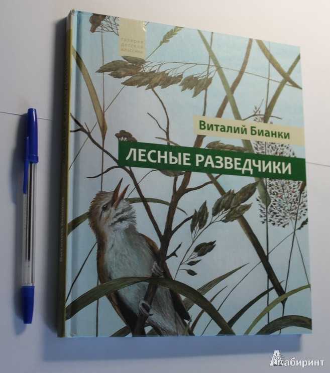 Лесные разведчики - бианки в.в.