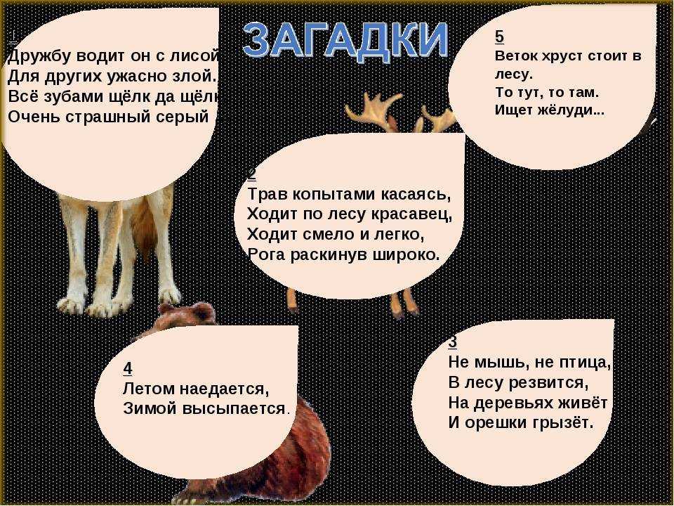 Загадки про дружбу для любимого чада