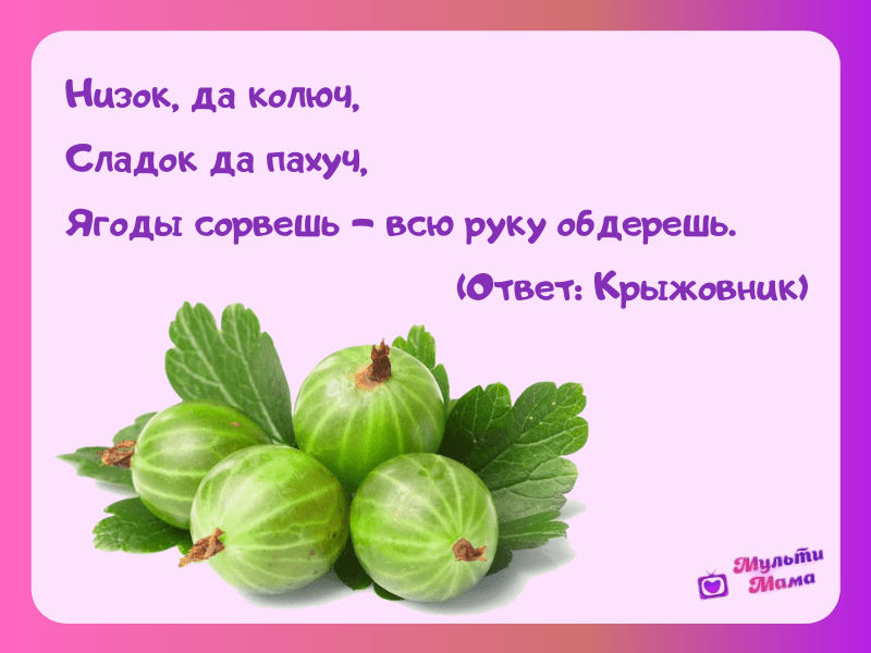 Загадки про ягоды для детей младшего школьного возраста.