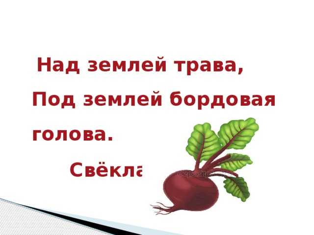 Загадки с ответами для детей про овощи, зелень, фрукты и ягоды