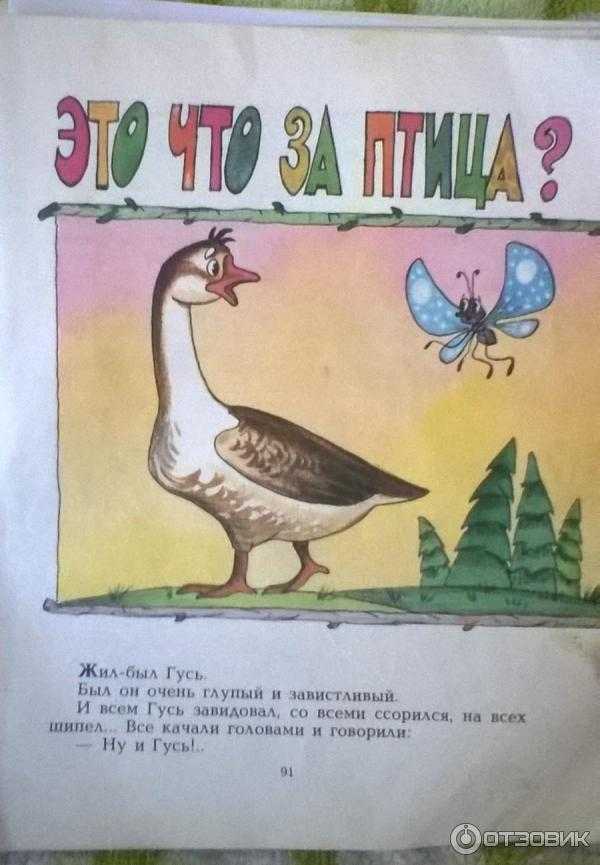 Это что за птица?