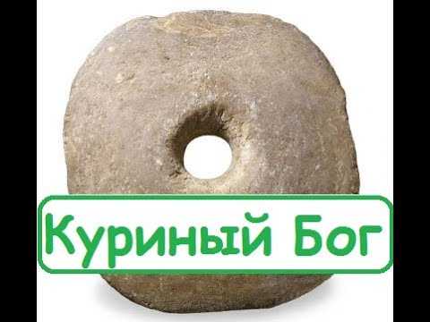 Сказка куриный бог текст читать онлайн бесплатно